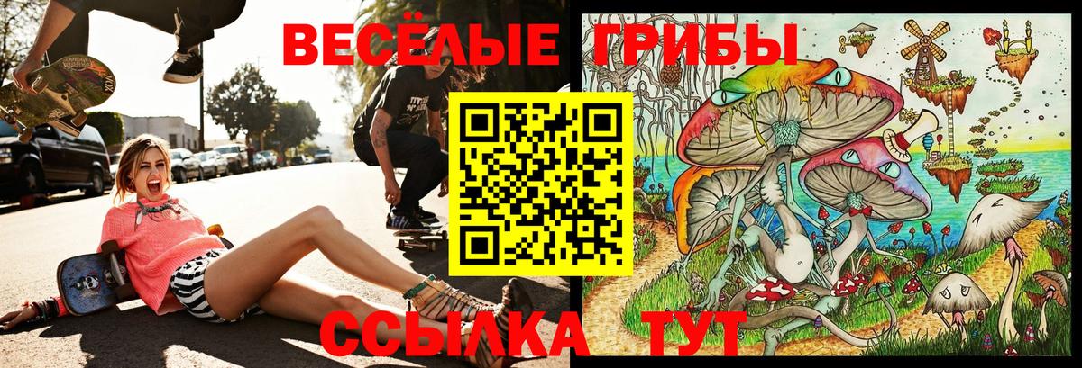 Псилоцибиновые грибы Cubensis  Вход с VPN  Ирбит 