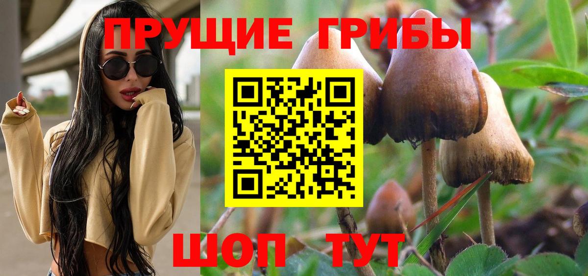 Псилоцибиновые грибы мицелий Ирбит